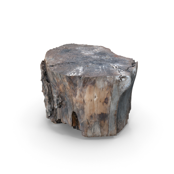 Wood Log PNG & PSD Images