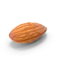 Almond Nut 01 PNG & PSD Images