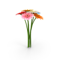 Gerbera Bouquet PNG & PSD Images