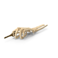 Skeleton Hand Holding a Key PNG & PSD Images