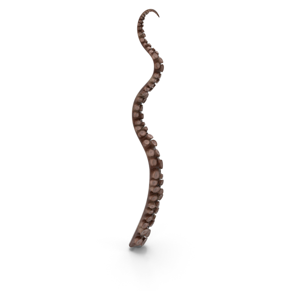 Octopus Tentacles PNG & PSD Images