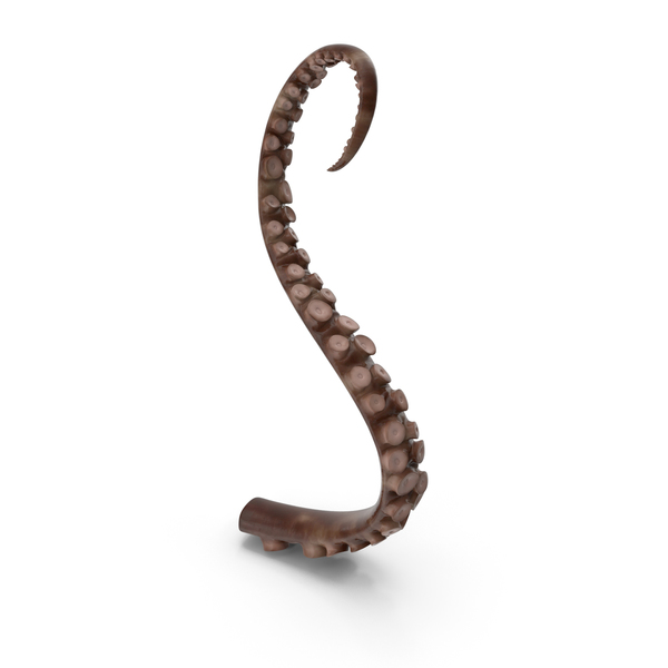 Octopus Tentacles PNG & PSD Images