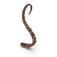 Octopus Tentacles PNG & PSD Images