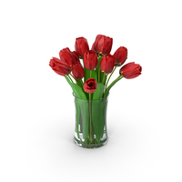 Tulips Bouquet PNG & PSD Images
