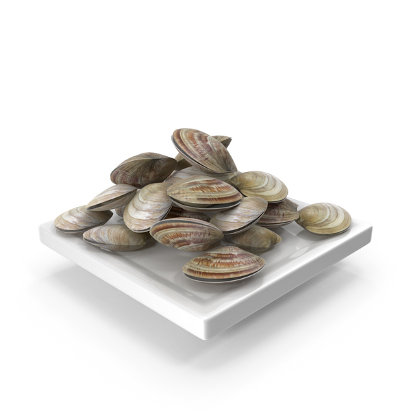 Clams PNG & PSD Images
