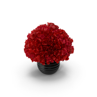 Bunch Of Roses PNG & PSD Images