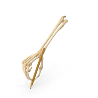 Skeleton Hand Holding a Pencil PNG & PSD Images