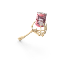 Skeleton Hand Holding a 50 Uk Pound Banknote Roll PNG & PSD Images