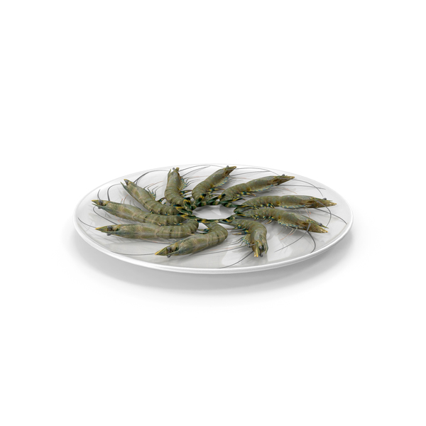 Shrimp PNG & PSD Images