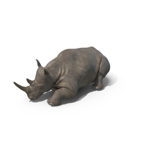 Sleeping Rhino PNG & PSD Images