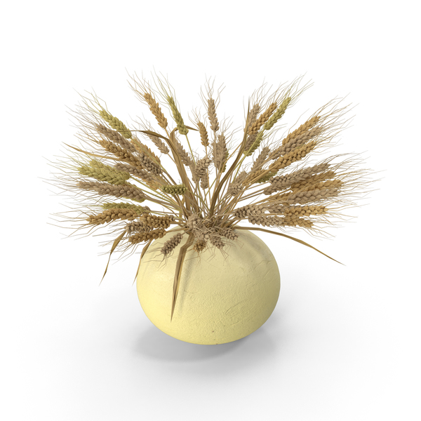 Vase PNG & PSD Images