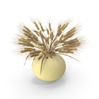Vase PNG & PSD Images