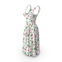 Woman Gown Dress PNG & PSD Images