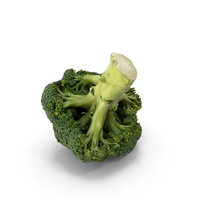 Broccoli PNG & PSD Images