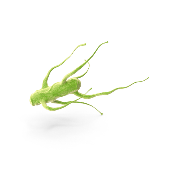 Salmonella PNG & PSD Images