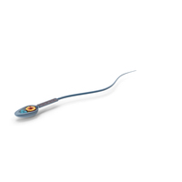 Human Sperm Cell PNG & PSD Images