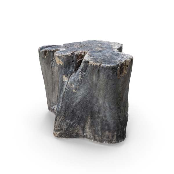 Old Wood Log PNG & PSD Images