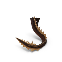 Dragon Tail PNG & PSD Images