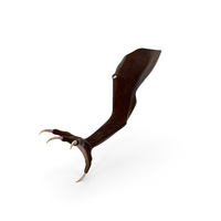 Dragon Leg Claw PNG & PSD Images