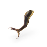 Magical Creature Leg Claw PNG & PSD Images