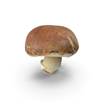 Whole Portobello Mushroom PNG & PSD Images