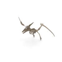 Cardboard Pteranodon PNG & PSD Images