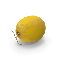 Golden Cantaloupe PNG & PSD Images