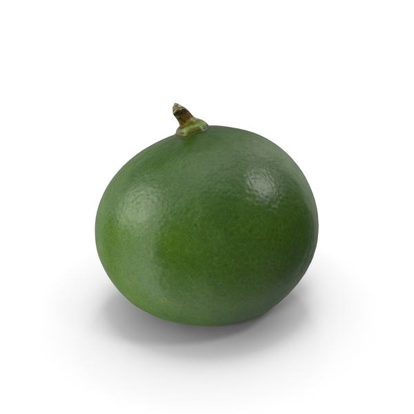 Small Lime PNG & PSD Images