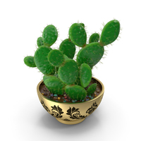Cactus with Pot PNG & PSD Images
