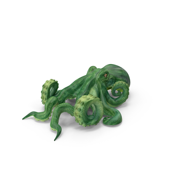 Octopus2 PNG & PSD Images