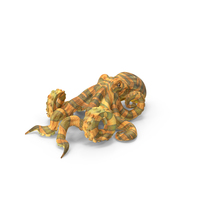 Octopus PNG & PSD Images