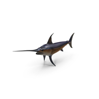 Swordfish PNG & PSD Images