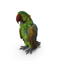 Parrot 3 PNG & PSD Images