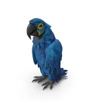Parrot 4 PNG & PSD Images