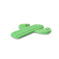 Cactus Pool Float PNG & PSD Images