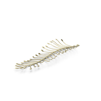 Brass Leaf Centerpiece PNG & PSD Images