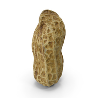 Peanut Shell PNG & PSD Images