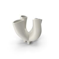 Vase 43 PNG & PSD Images