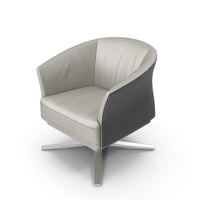 De Sede DS-291 Chair PNG & PSD Images