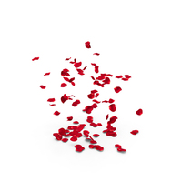 Rose Petals Falling PNG & PSD Images
