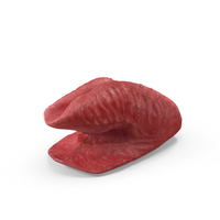 Tongue Pose PNG & PSD Images