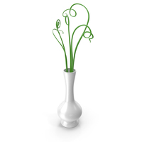 Vase Flower Pot PNG & PSD Images
