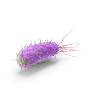 Bacillus PNG & PSD Images