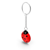 Ladybird Keychain PNG & PSD Images
