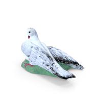 Dove PNG & PSD Images