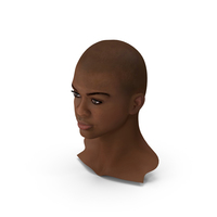Light Skin Teenager Head PNG & PSD Images