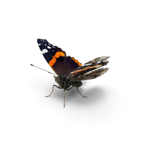 Red Admirable Butterfly PNG & PSD Images