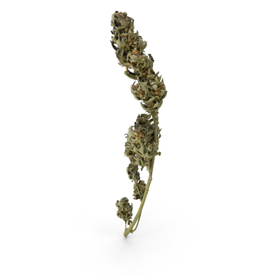 Weed PNG Images & PSDs for Download | PixelSquid