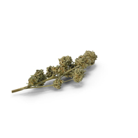 Cannabis Branch PNG & PSD Images