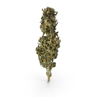 Cannabis Branch PNG & PSD Images